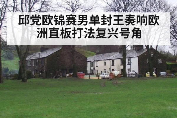 邱党欧锦赛男单封王奏响欧洲直板打法复兴号角