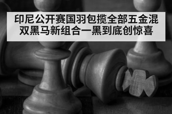 印尼公开赛国羽包揽全部五金混双黑马新组合一黑到底创惊喜